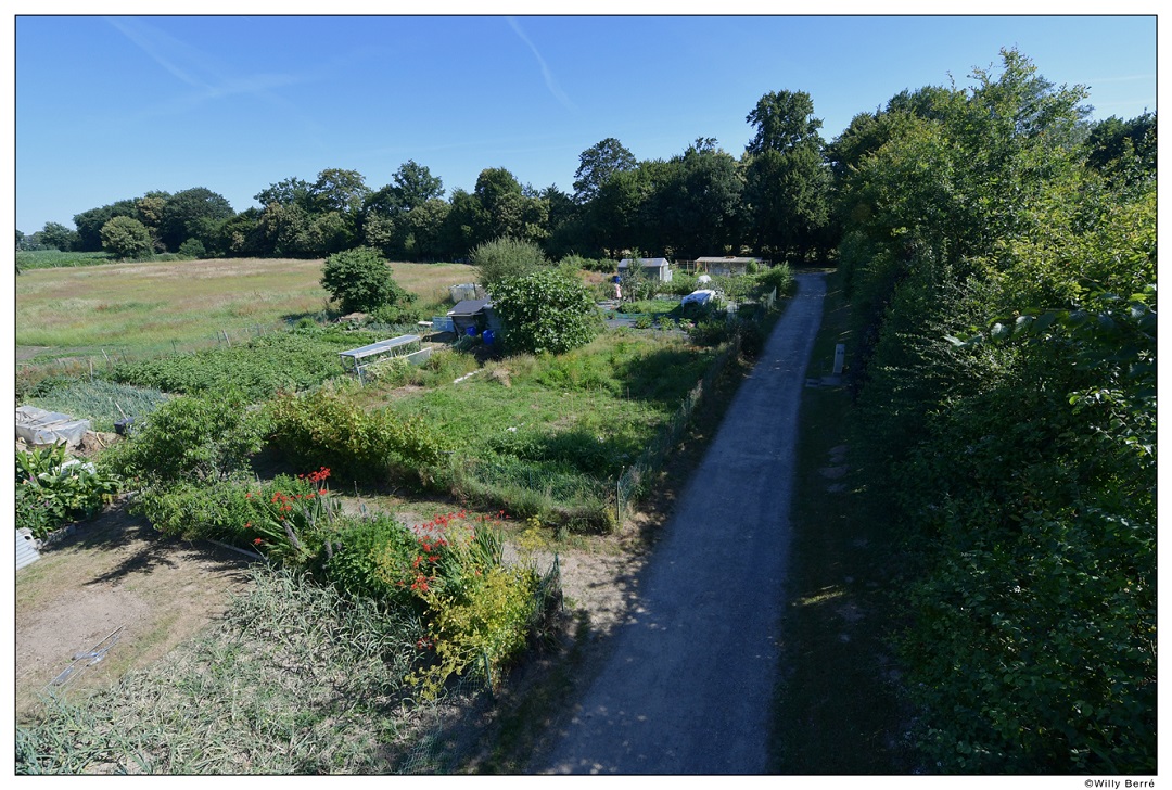 PONT ROMAIN - photo-10