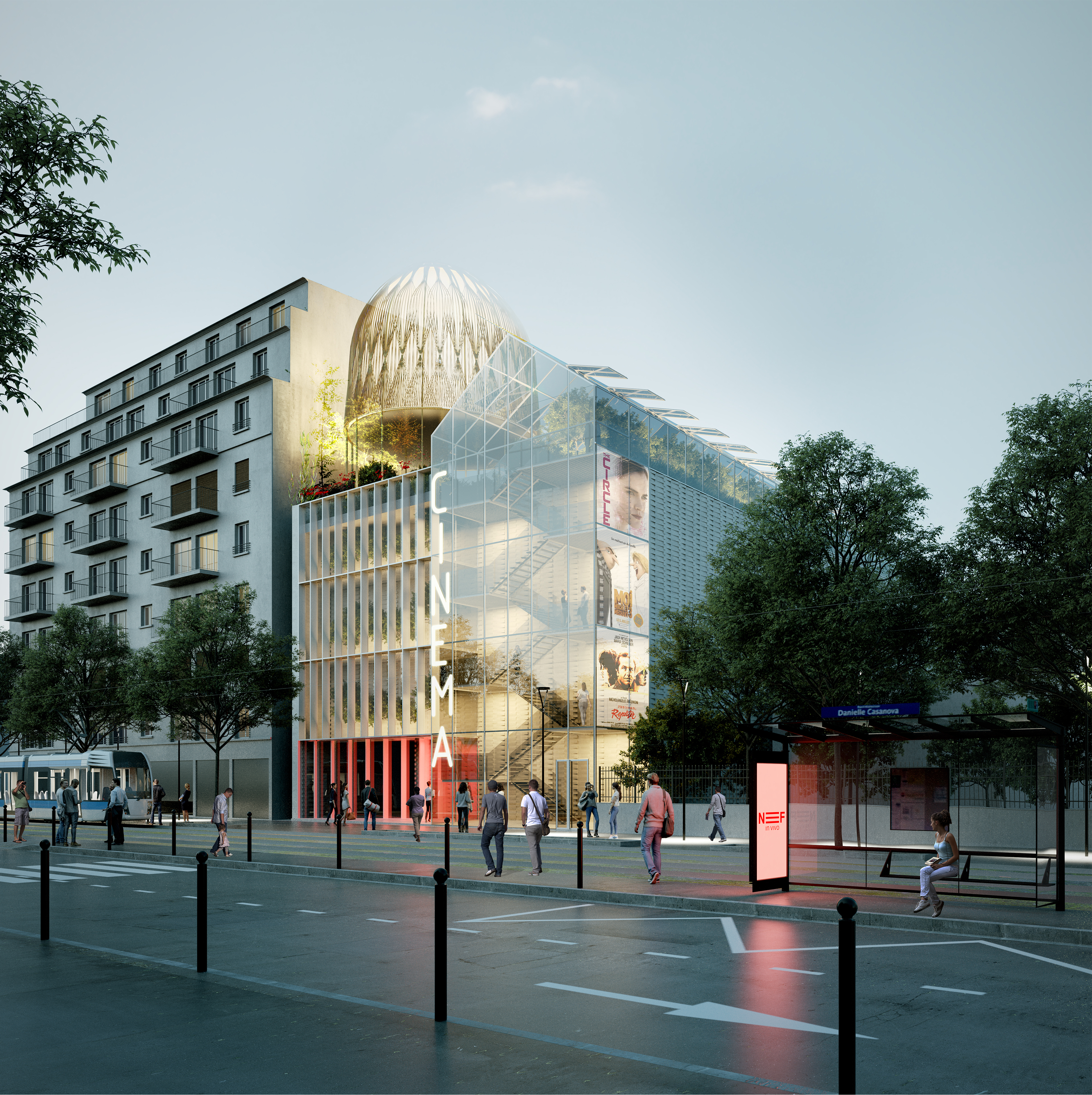 NEF IN VIVO - photo-1