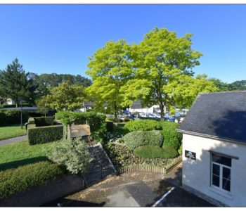 AVENUE PINAULT - vignette
