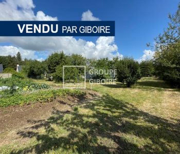 Terrain  - CREVIN (GLH24872) - vignette