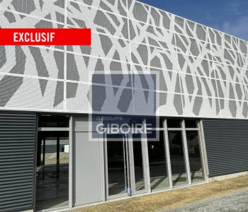Local d'activites  - RENNES (35.5555) - vignette