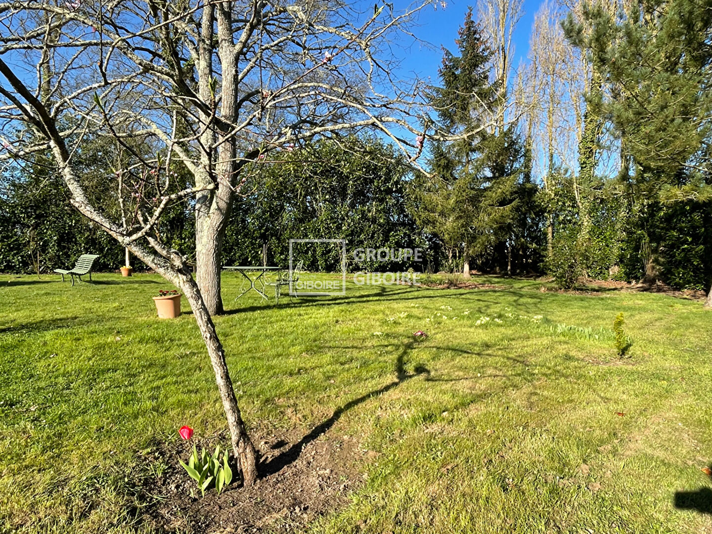 Maison T7  - SAINT GREGOIRE (ALG25214) - photo-8