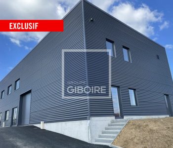 Local d'activites  - LE RHEU (35.6356) - vignette