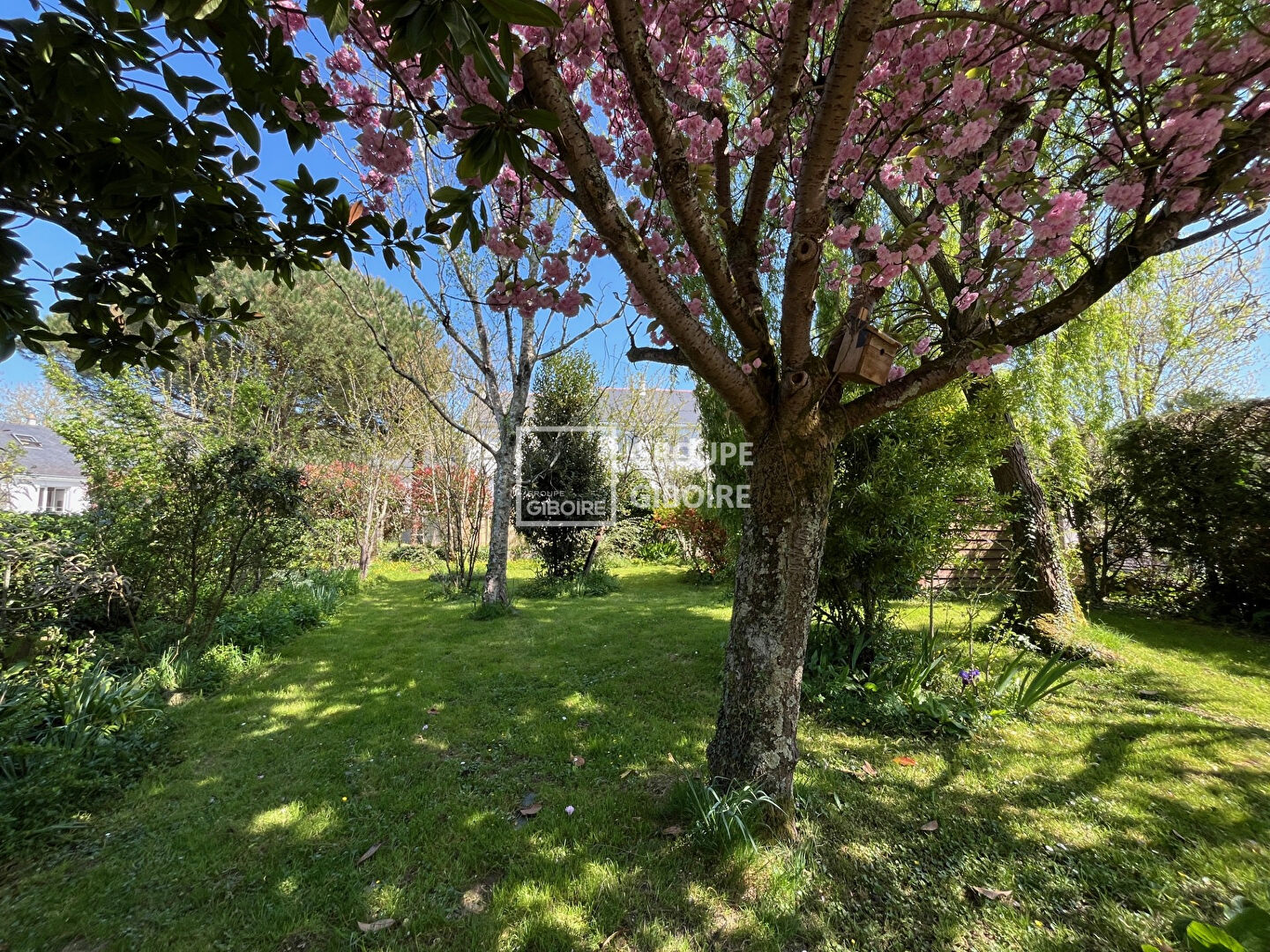 Maison T7  - VERTOU (ML25249) - photo-1
