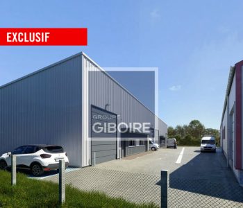 Local d'activites  - LAILLE (35.5891) - vignette