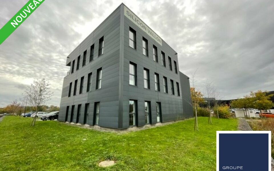 Bureaux  - NOYAL CHATILLON SUR SEICHE (35.6016) - photo principale