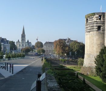 EMBLÈME - vignette