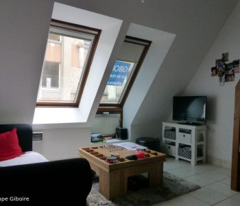 Appartement T1  - Rennes (413738) - vignette