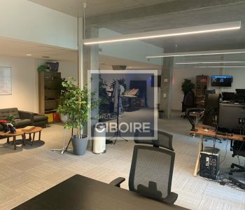 Bureaux  - ANGERS (49.017401) - vignette