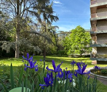 Appartement T9  - RENNES (JP24646o) - vignette