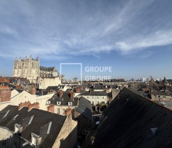 Appartement T1  - NANTES (ML25295G) - vignette