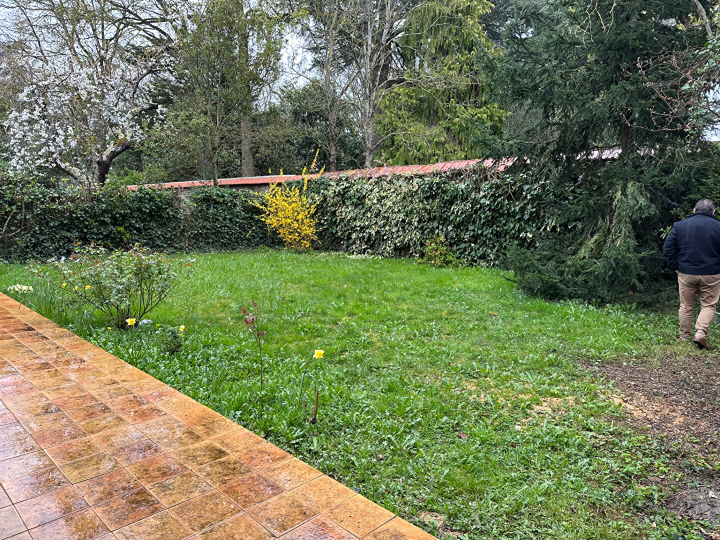 Maison T6  - Rennes (AM-OG25583g) - photo-12
