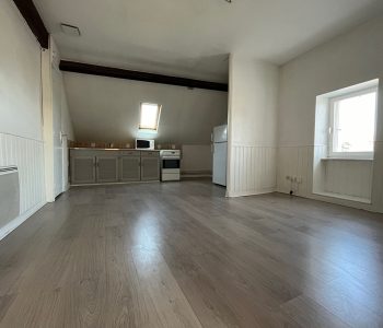 Appartement T1  - NANTES (24761) - vignette