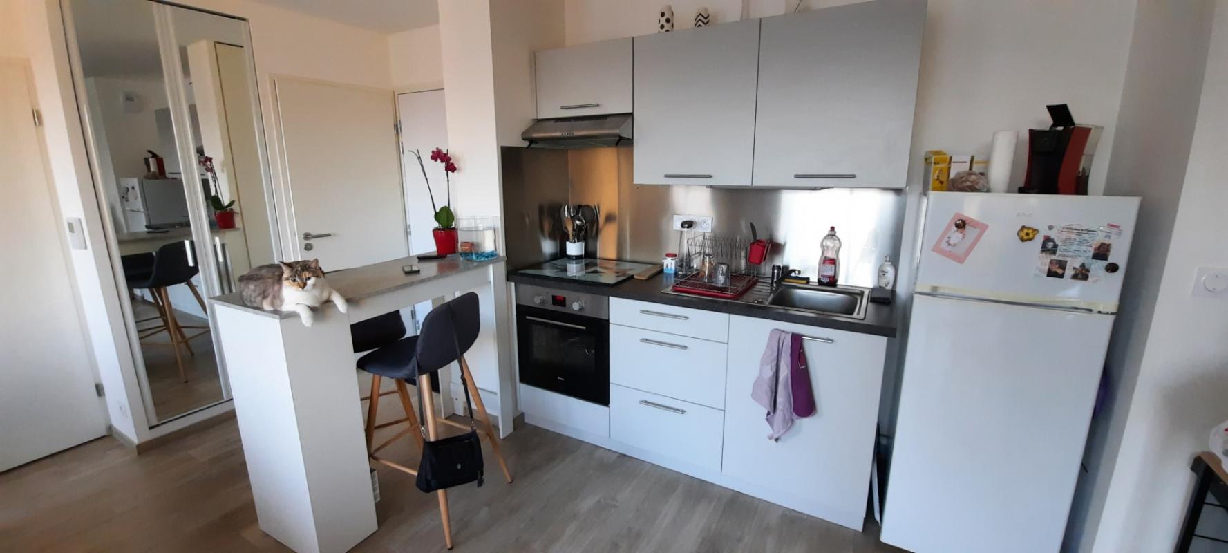 Appartement T3  - Nantes (432616) - photo-6