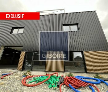 Local d'activites  - GOVEN (35.6789) - vignette