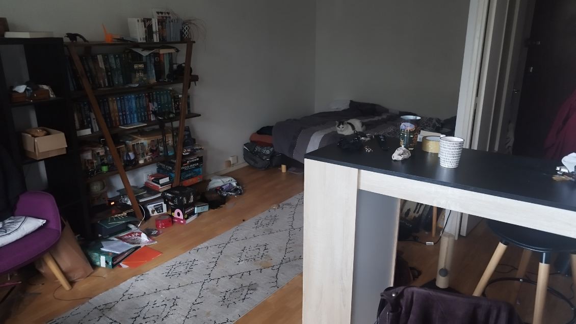 Appartement T2  - Rennes (439163) - photo-2