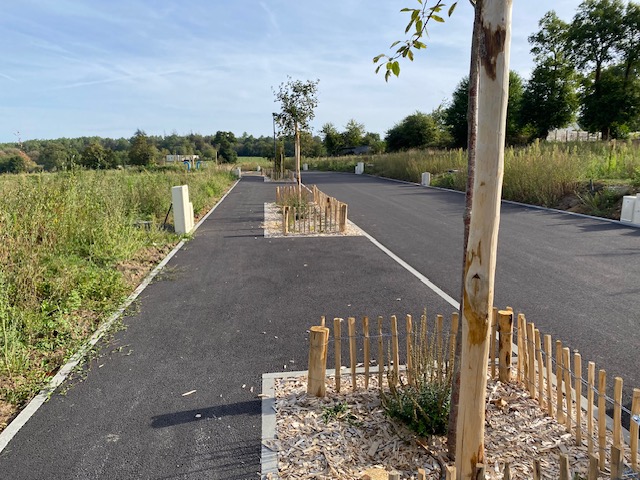 LES BOIS DU CHAINAIS - 3