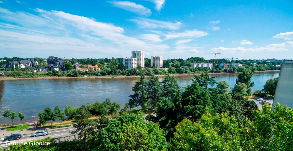 Appartement T2  - Nantes (463450) - photo-2