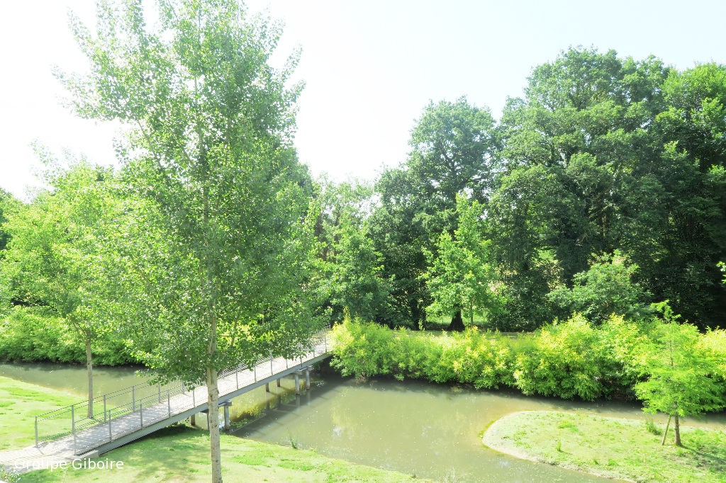 Appartement T4  - Chantepie (439141) - photo-4