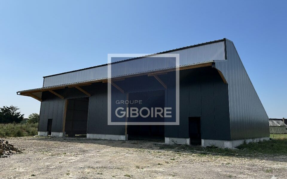 Local d'activites  - LAILL (35.6821) - photo principale