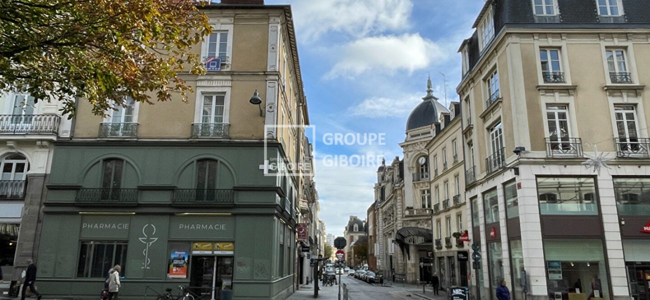 Appartement T4  - RENNES (ALG25814-E0211) - photo principale