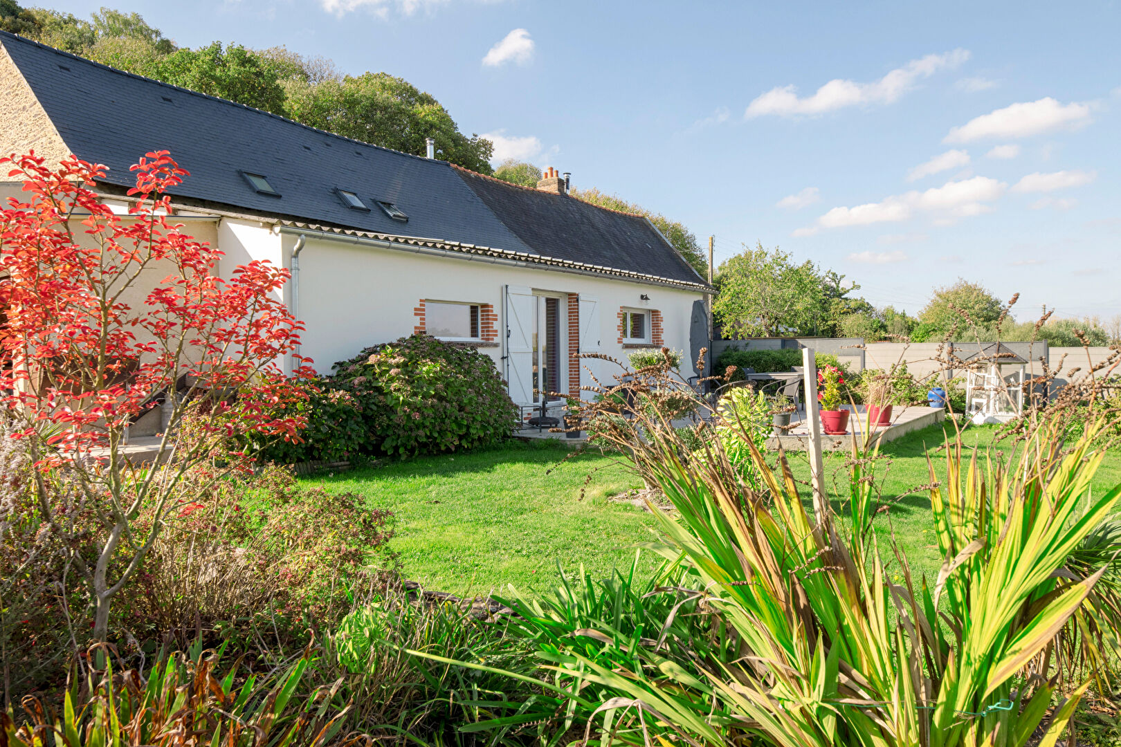 Maison T5  - ORGERES (JR25915E) - photo-3