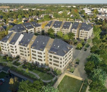 AN DISKUIZ - vignette