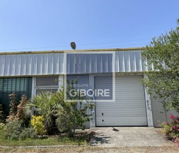 Local d'activites  - LE RHEU (35.6759) - vignette