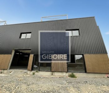 Local d'activites  - GOVEN (35.6798) - vignette