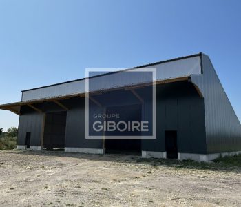 Local d'activites  - LAILL (35.6821) - vignette