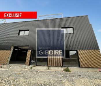 Local d'activites  - GOVEN (35.6789) - vignette