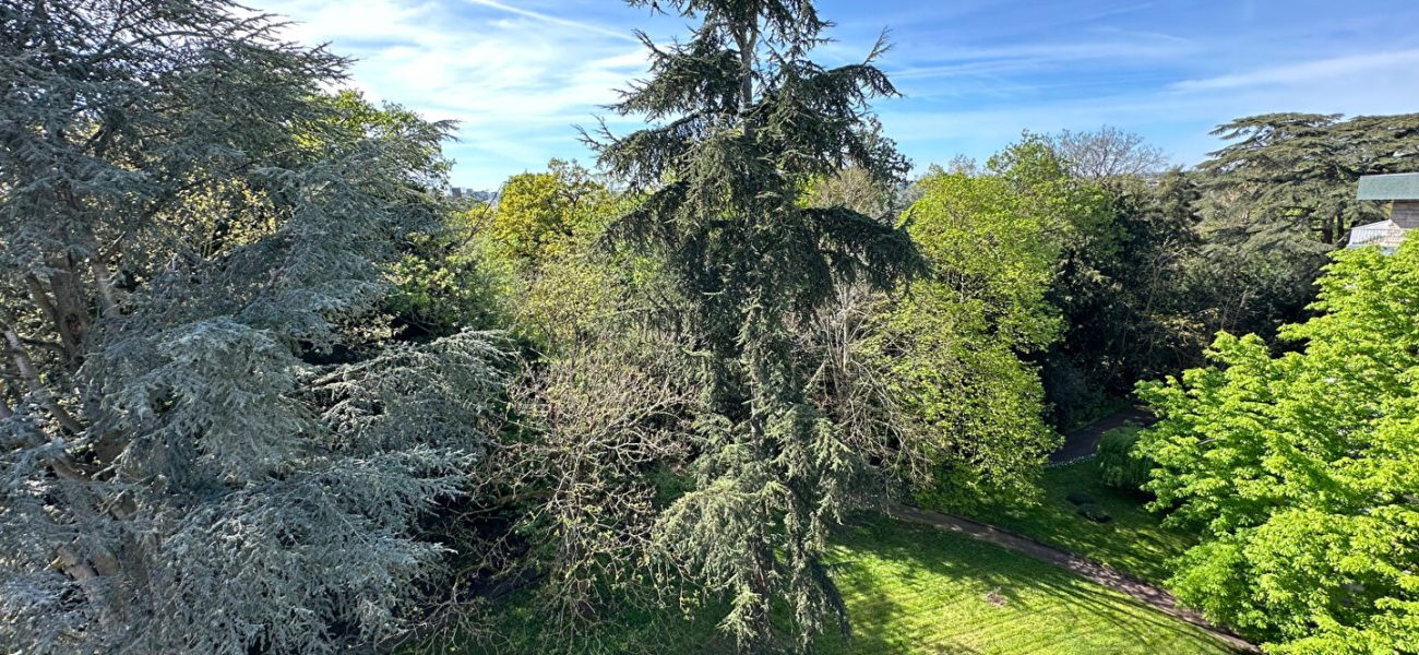 Appartement T9  - RENNES (JP24646s) - photo principale