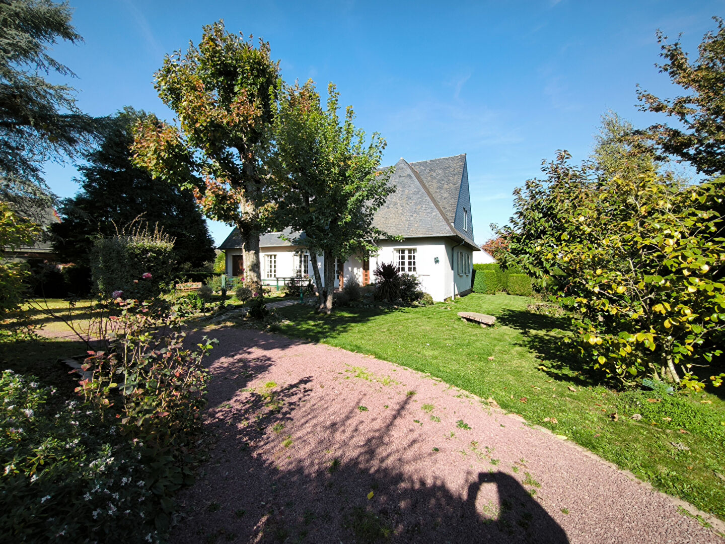 Maison T6  - PACE (BM25941E) - photo-1