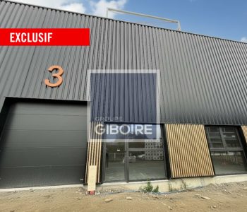 Local d'activites  - GOVEN (35.6789) - vignette