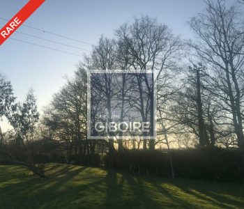 Terrain  - ANGERS PARC DES EXPSOSITIONS (49.017399) - vignette