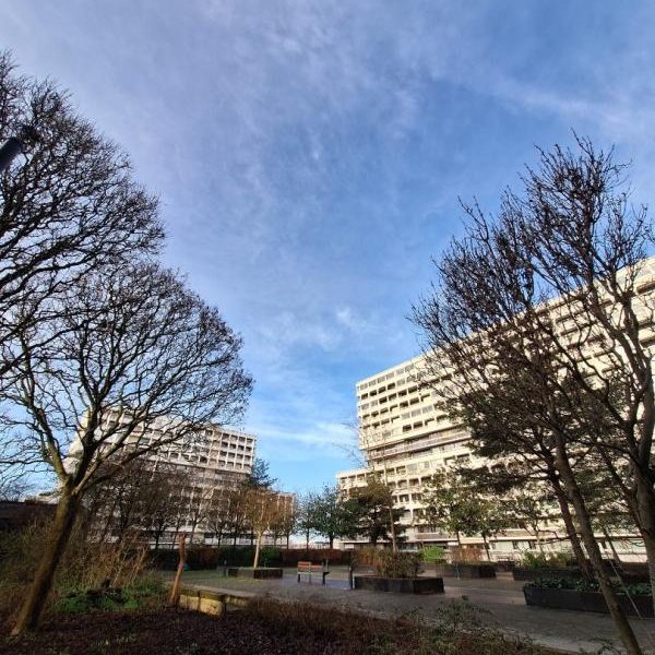 Appartement T3  - Rennes (485021) - photo principale