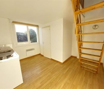 Appartement T1  - Vertou (475867) - vignette
