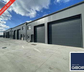 Local d'activites  - THOUARE SUR LOIRE (44.019001) - vignette