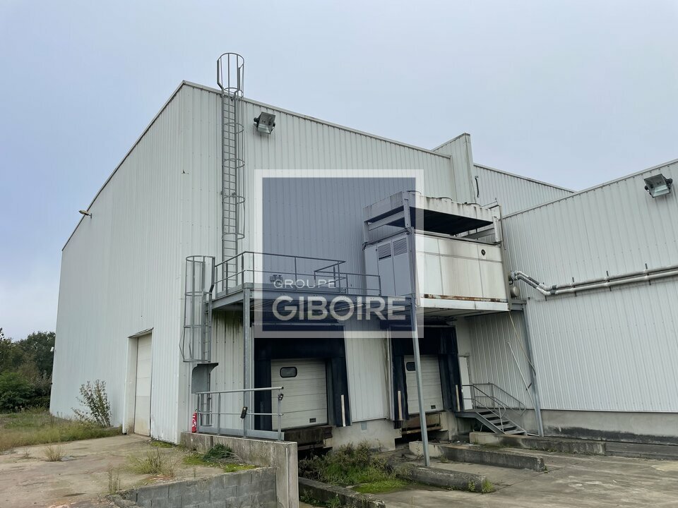 Local d'activites  - BETTON (35.6440) - photo-7