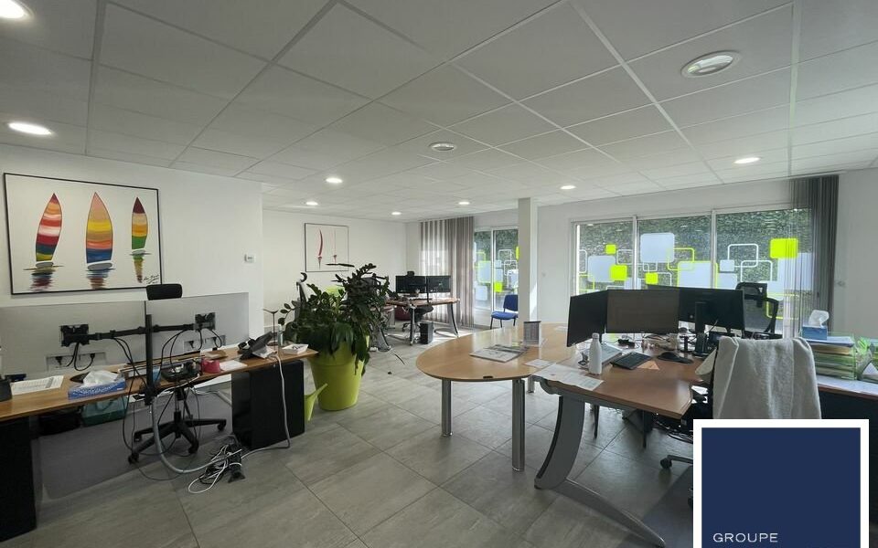 Bureaux  - BASSE GOULAINE (44.018904) - photo principale