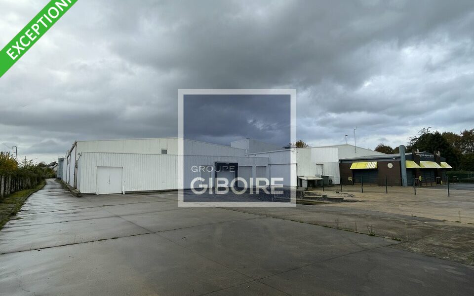 Local d'activites  - BETTON (35.6440) - photo principale