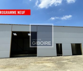 Local d'activites  - PLELAN LE GRAND (35.6060) - vignette