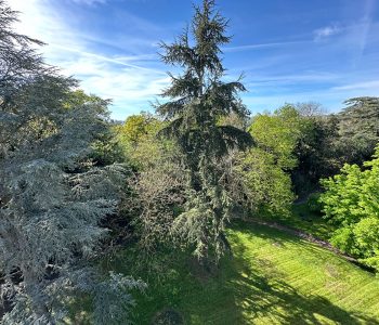 Appartement T9  - RENNES (JP24646s) - vignette