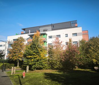 Appartement T3  - PACE (BM25643G) - vignette