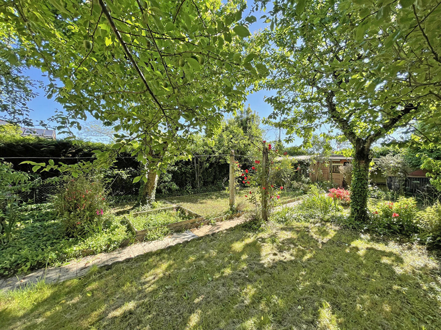 Maison T3  - Rennes (AM-OG2584bp) - photo-5