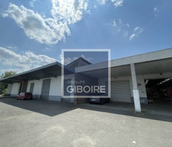 Local d'activites  - RENNES (35.1761) - vignette