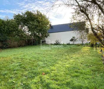 Terrain  - BRUZ (JR25998) - vignette