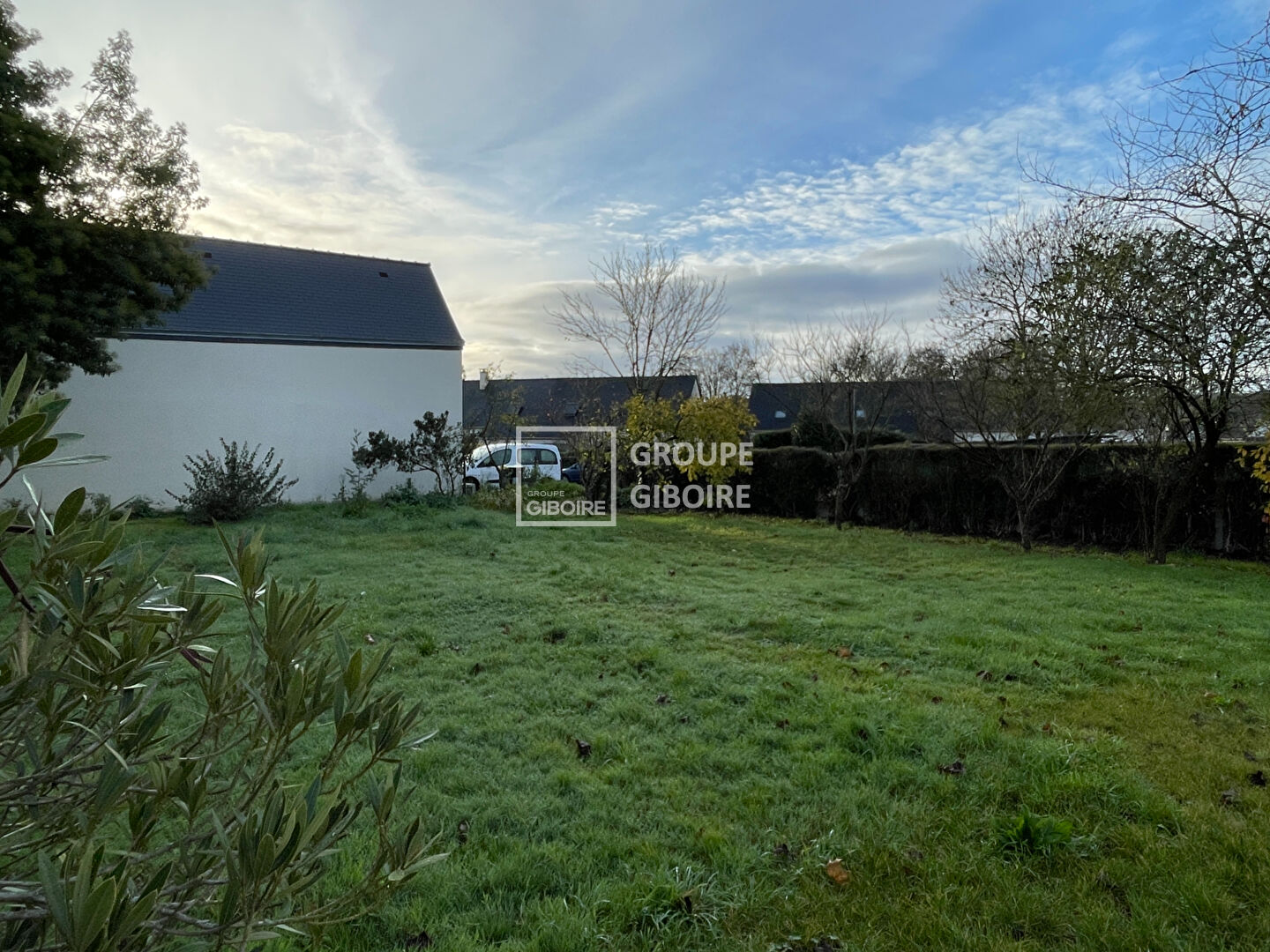 Terrain  - BRUZ (JR25998) - photo-2