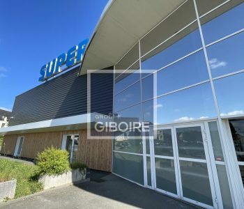 Local d'activites  - ROMILLE (35.5476) - vignette