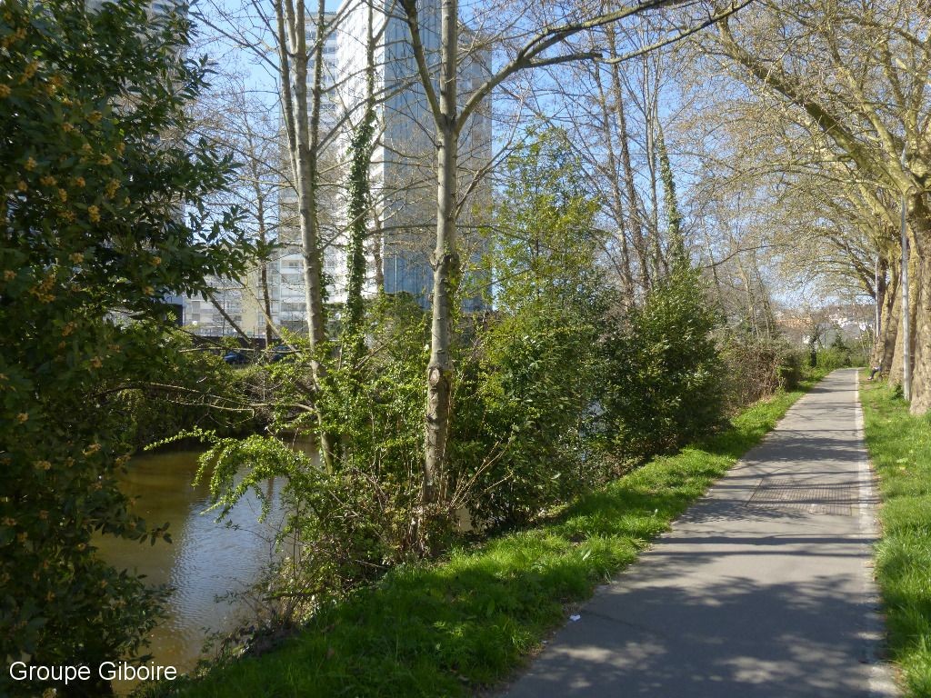 Appartement T2  - Rennes (482664) - photo-7